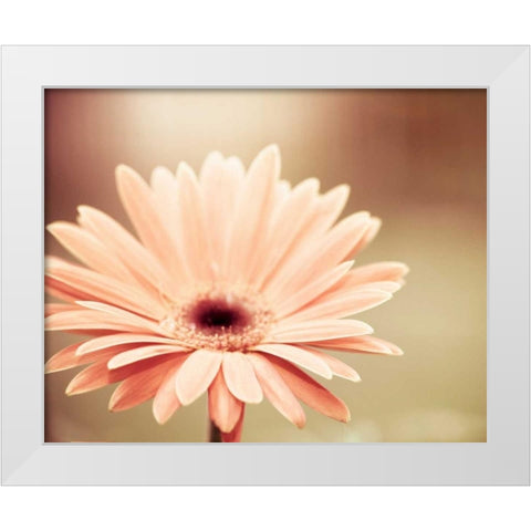 Peachy Keen White Modern Wood Framed Art Print by Cochrane, Carolyn