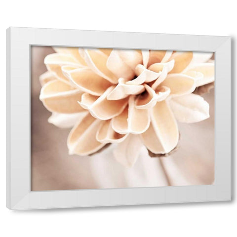 Touched By an Angel White Modern Wood Framed Art Print by Cochrane, Carolyn