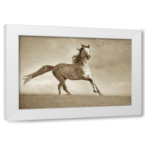 Like The Wind White Modern Wood Framed Art Print by Dearing, Lisa