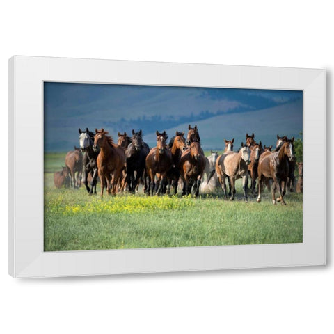 Montana Thunder White Modern Wood Framed Art Print by Dearing, Lisa