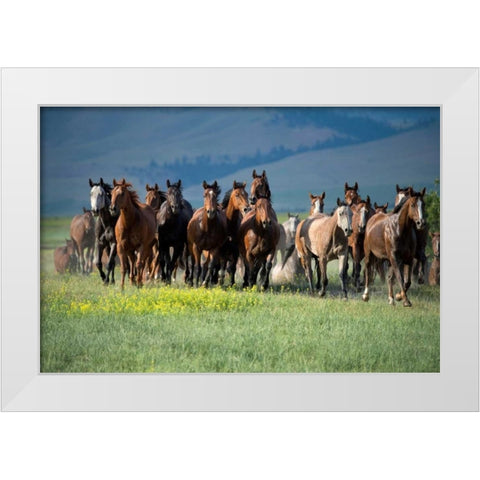 Montana Thunder White Modern Wood Framed Art Print by Dearing, Lisa