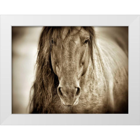 Mustang Sally White Modern Wood Framed Art Print by Dearing, Lisa