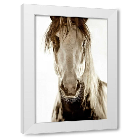 Wilbur Cruz White Modern Wood Framed Art Print by Dearing, Lisa