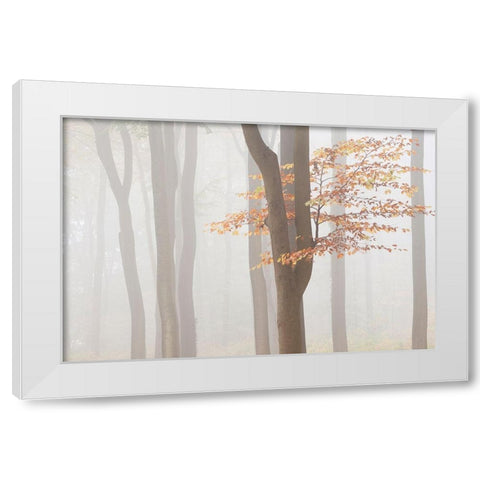 Arnhem Park Zypendaal White Modern Wood Framed Art Print by Dragt, Wilco
