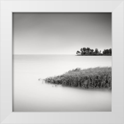 Makkum II White Modern Wood Framed Art Print by Dragt, Wilco