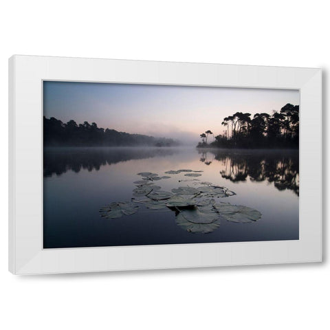 Oisterwijkse Vennen White Modern Wood Framed Art Print by Dragt, Wilco