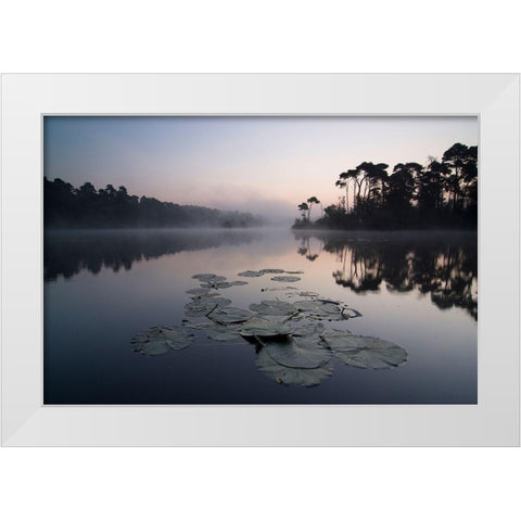 Oisterwijkse Vennen White Modern Wood Framed Art Print by Dragt, Wilco