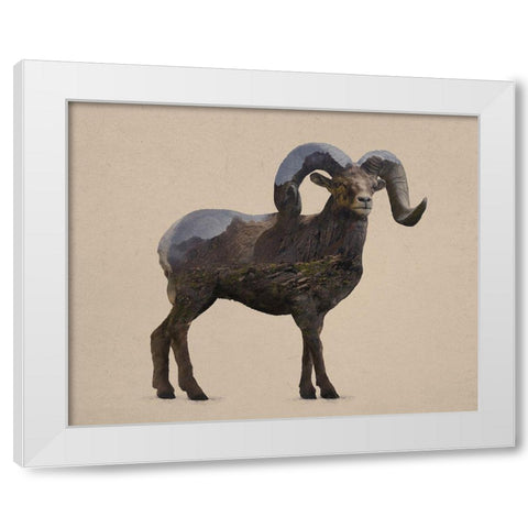 Rocky Mountain Bighorn White Modern Wood Framed Art Print by Davies Babies