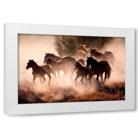 Horses White Modern Wood Framed Art Print by Dearing, Lisa