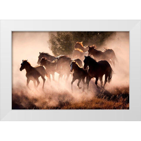 Horses White Modern Wood Framed Art Print by Dearing, Lisa