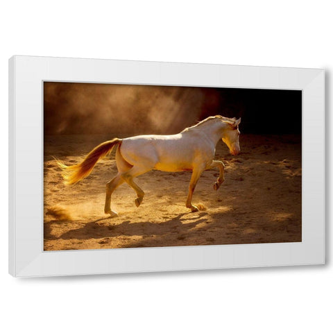 Dancing In The Light White Modern Wood Framed Art Print by Dearing, Lisa