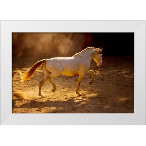 Dancing In The Light White Modern Wood Framed Art Print by Dearing, Lisa