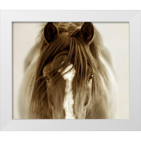 Ghost Horse White Modern Wood Framed Art Print by Dearing, Lisa