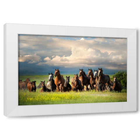 Running Free II White Modern Wood Framed Art Print by Dearing, Lisa