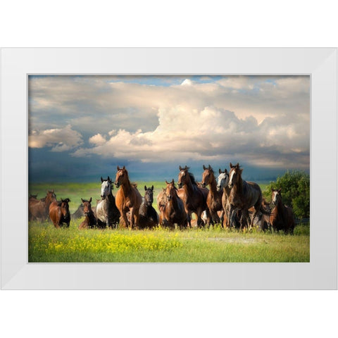 Running Free II White Modern Wood Framed Art Print by Dearing, Lisa