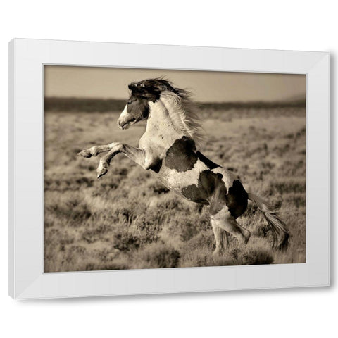 Wild Painted Pony White Modern Wood Framed Art Print by Dearing, Lisa
