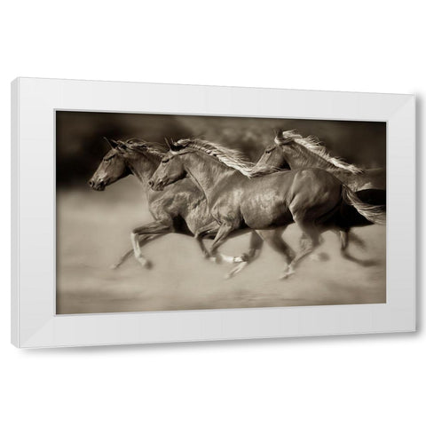 Wind Runners White Modern Wood Framed Art Print by Dearing, Lisa
