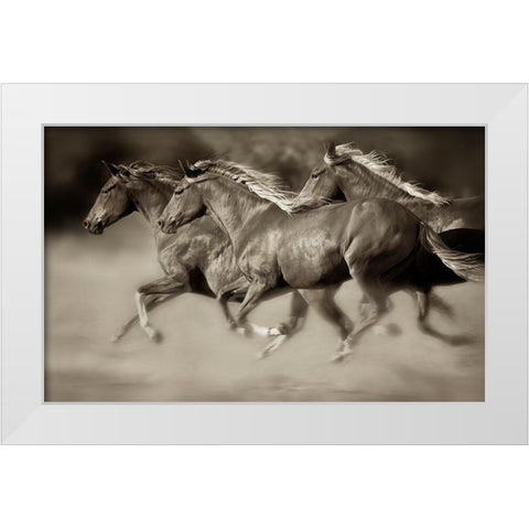 Wind Runners White Modern Wood Framed Art Print by Dearing, Lisa
