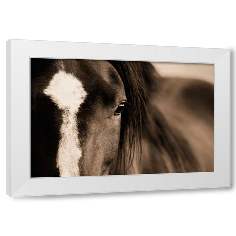 Dark Eyes White Modern Wood Framed Art Print by Dearing, Lisa