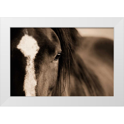 Dark Eyes White Modern Wood Framed Art Print by Dearing, Lisa