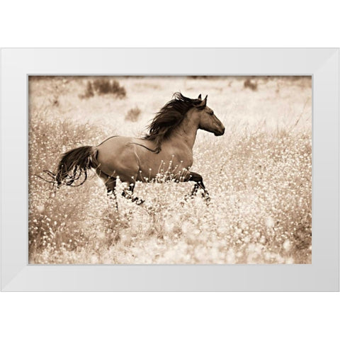 Running Free White Modern Wood Framed Art Print by Dearing, Lisa