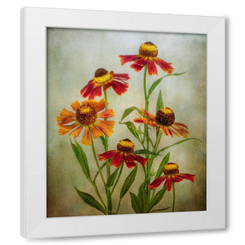 Cabaret White Modern Wood Framed Art Print by Disher, Mandy