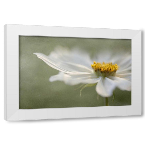 Whisper White Modern Wood Framed Art Print by Disher, Mandy