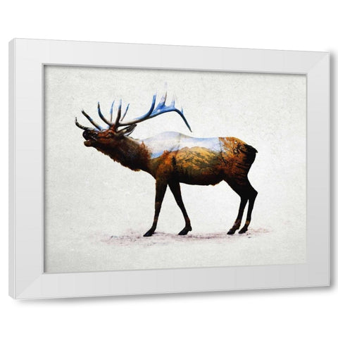 Rocky Mountain Elk White Modern Wood Framed Art Print by Davies Babies