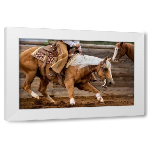 Cutting Horses White Modern Wood Framed Art Print by Dearing, Lisa