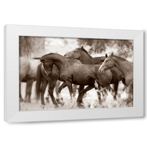 The Herd White Modern Wood Framed Art Print by Dearing, Lisa