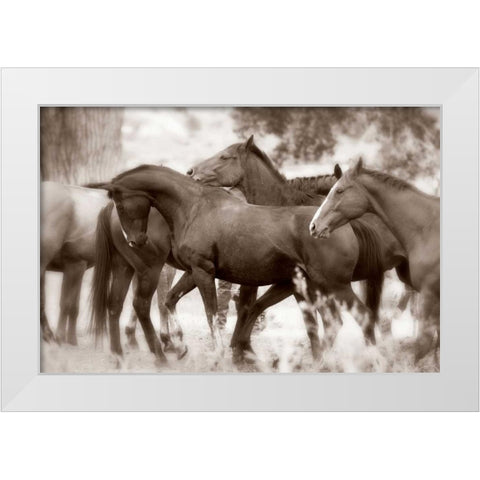 The Herd White Modern Wood Framed Art Print by Dearing, Lisa