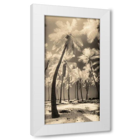 Palm Shadows I White Modern Wood Framed Art Print by Friedman, Susan