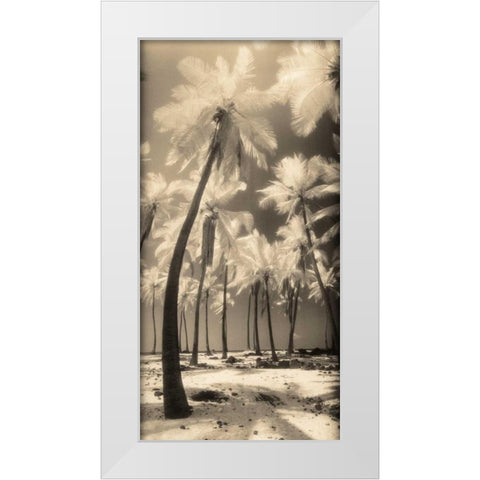 Palm Shadows I White Modern Wood Framed Art Print by Friedman, Susan