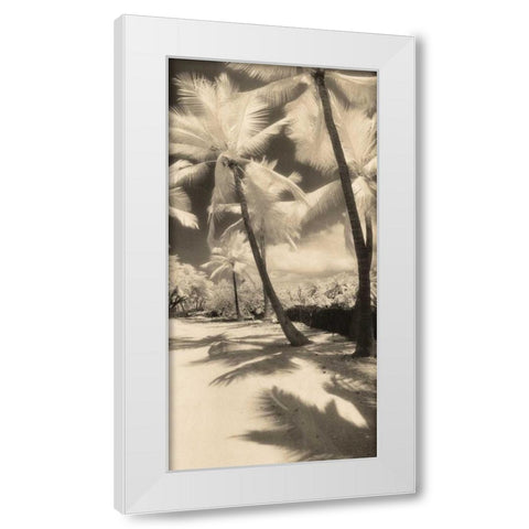 Palm Shadows II White Modern Wood Framed Art Print by Friedman, Susan