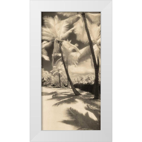 Palm Shadows II White Modern Wood Framed Art Print by Friedman, Susan