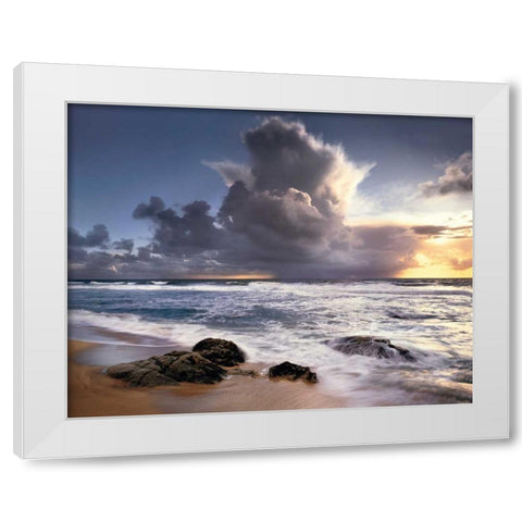Forces of Nature White Modern Wood Framed Art Print by Foster, Christopher