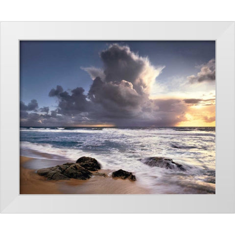 Forces of Nature White Modern Wood Framed Art Print by Foster, Christopher