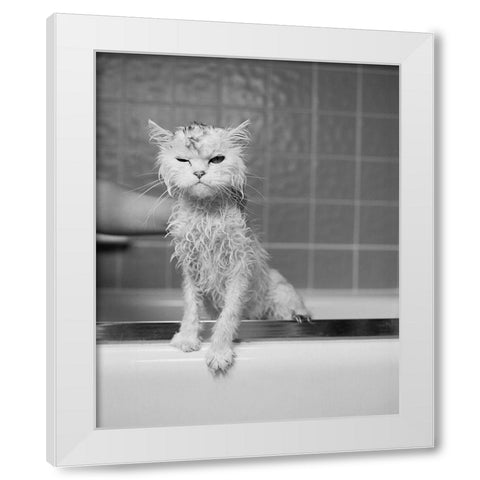 Berts Bath White Modern Wood Framed Art Print by Flad, James