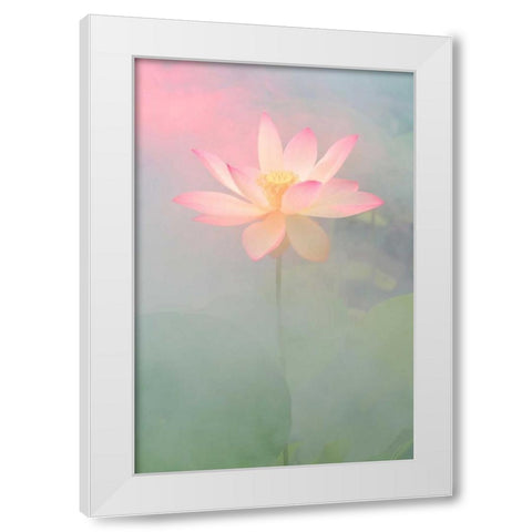 Pink Passion White Modern Wood Framed Art Print by Farzad, Bahman
