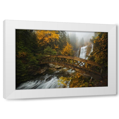 A Bridge in the Forest White Modern Wood Framed Art Print by Fossati, Enrico