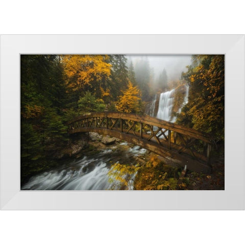A Bridge in the Forest White Modern Wood Framed Art Print by Fossati, Enrico