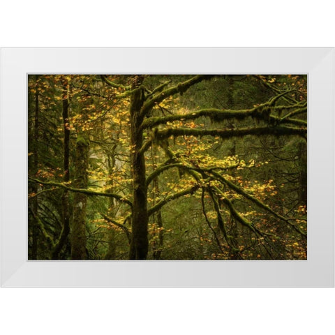 Golden Drops White Modern Wood Framed Art Print by Fossati, Enrico