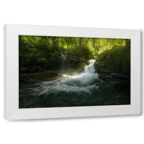 Stream of Life White Modern Wood Framed Art Print by Fossati, Enrico