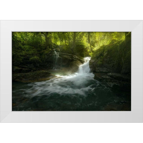 Stream of Life White Modern Wood Framed Art Print by Fossati, Enrico