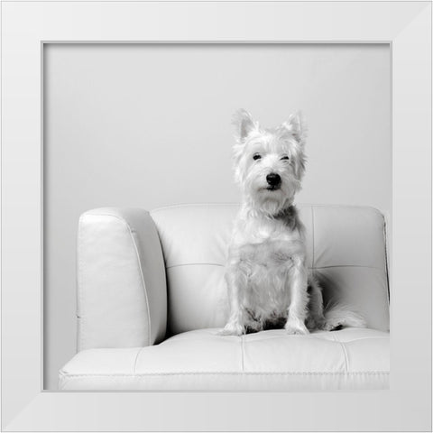 White on White White Modern Wood Framed Art Print by Fielding, Edward M.