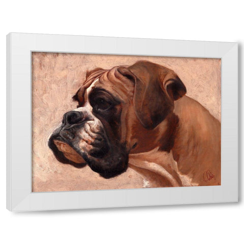 Boxer White Modern Wood Framed Art Print by Fluharty, Thomas