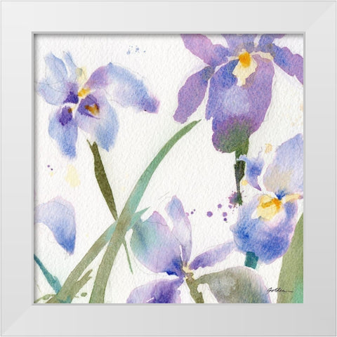 Irises White Modern Wood Framed Art Print by Golden, Sheila