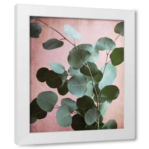 Sage Eucalyptus No. 1 White Modern Wood Framed Art Print by Grainne, Lupen