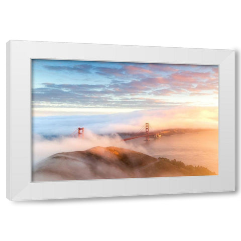 Arrival White Modern Wood Framed Art Print by Gordon, Dave