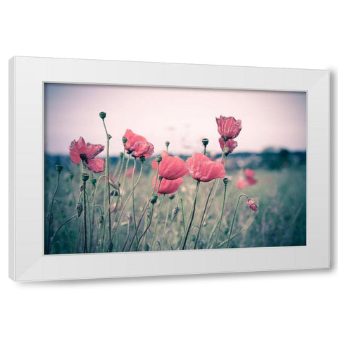 Pink Tulips White Modern Wood Framed Art Print by Goncalves, Adelino